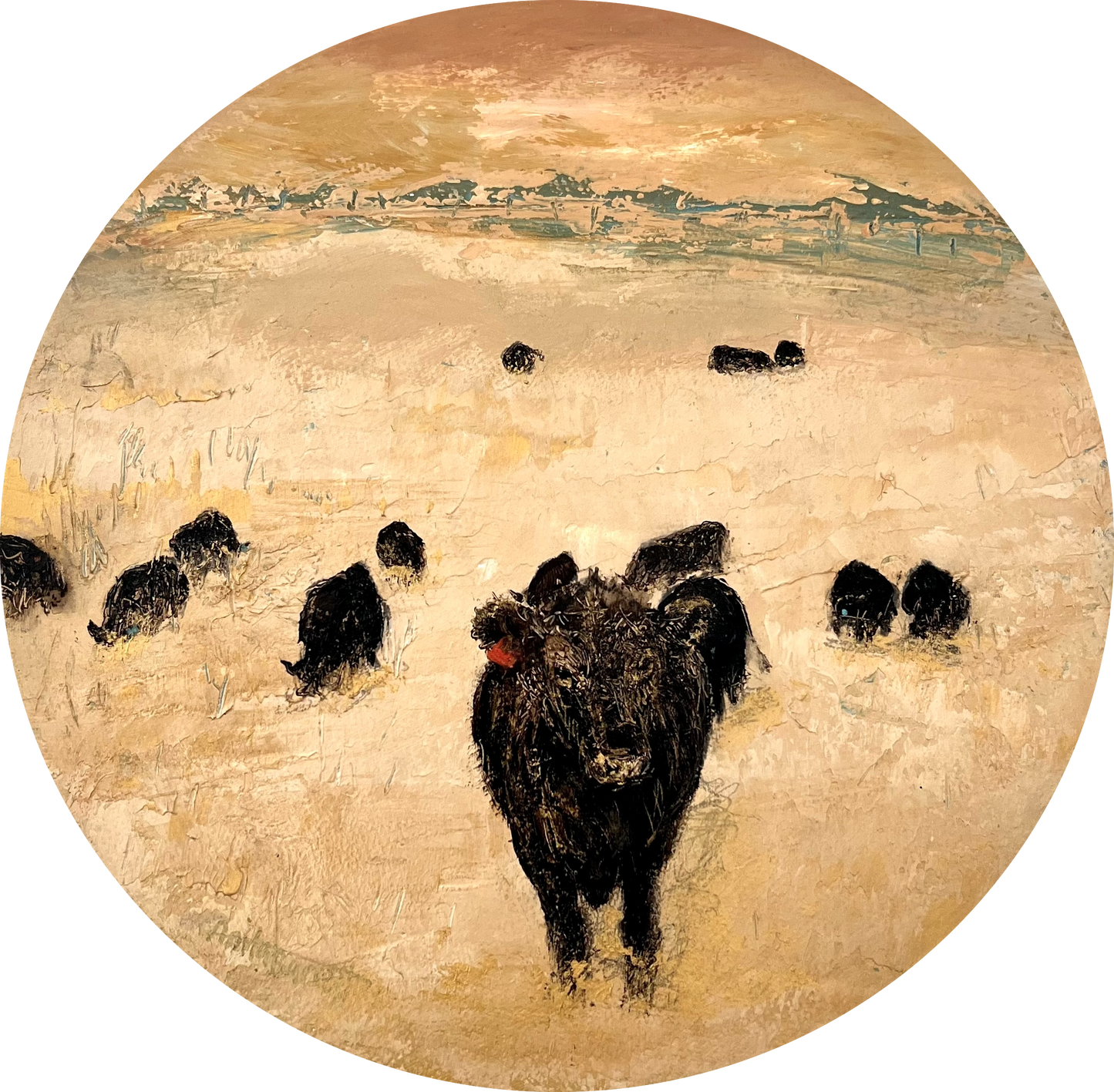 Moo Moo & Moonah 3