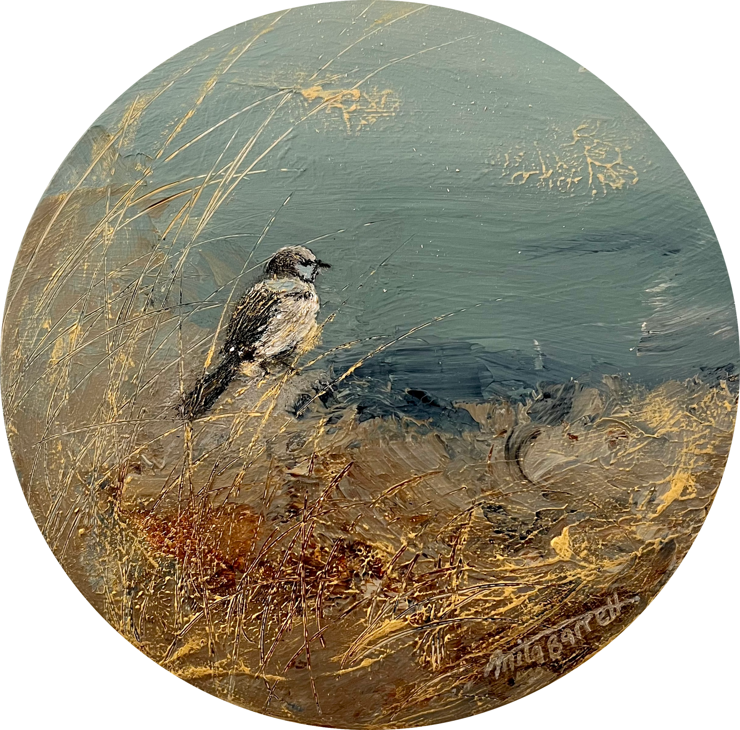 Solo Wren 2