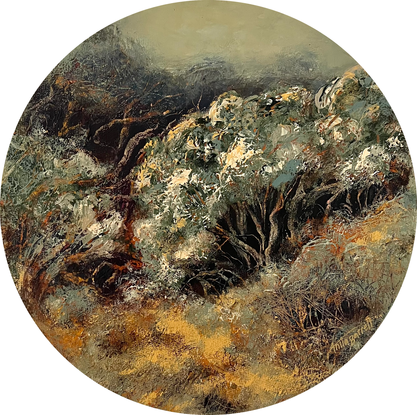 Moonah Treescape