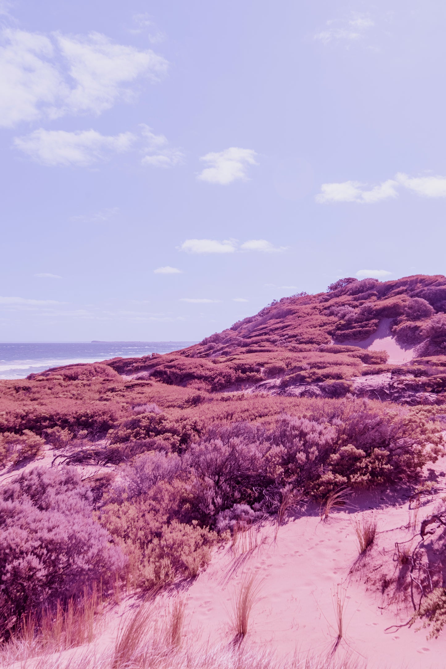 Sand dune stairs