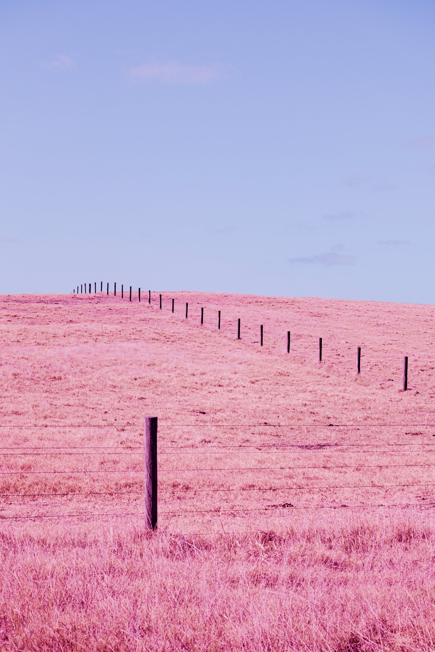 Fence