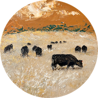Moo Moo & Moonah 2