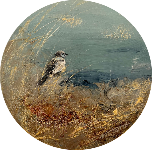Solo Wren 2