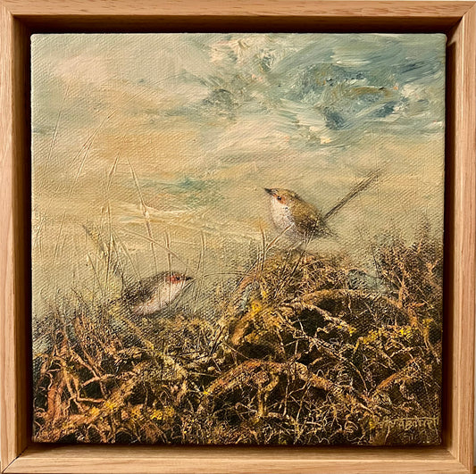 Morning Wrens