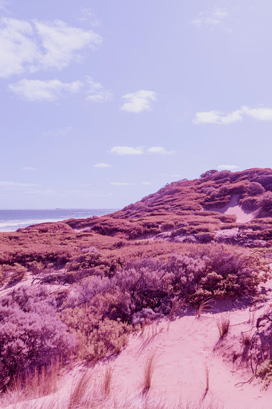 Sand dune stairs
