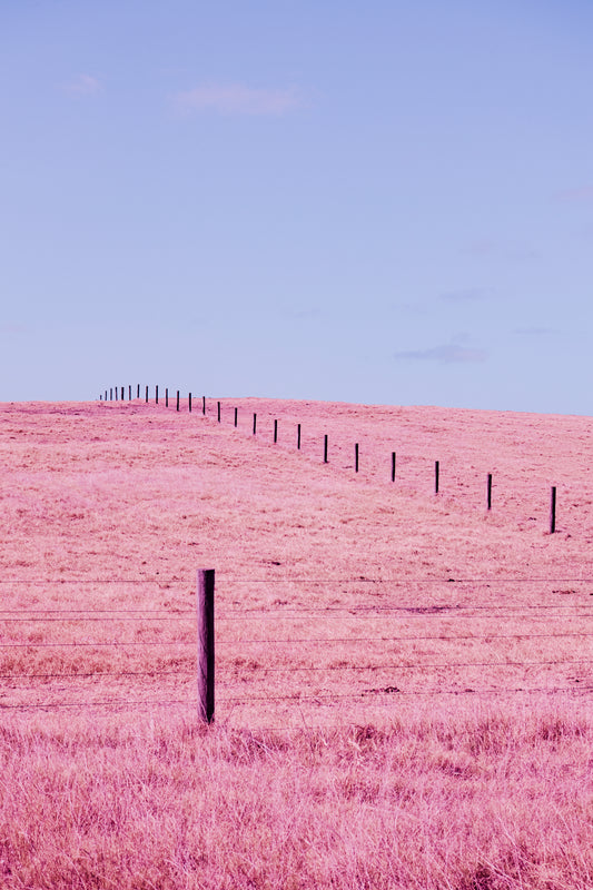 Fence