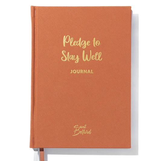 Pledge to Stay Well Journal - Terracotta