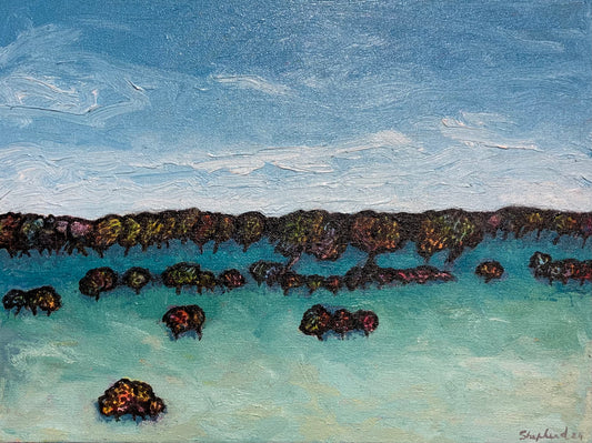 The Driveway Trees